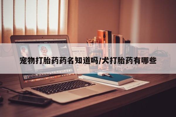推荐个卖打胎药的微信宠物打胎药药名知道吗/犬打胎药有哪些