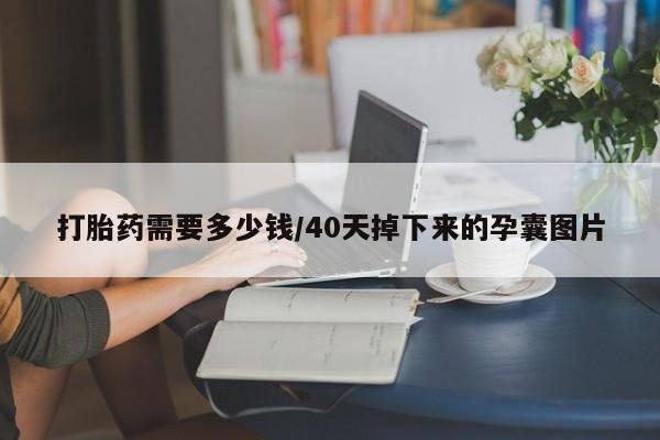 推荐个卖打胎药的微信打胎药需要多少钱/40天掉下来的孕囊图片